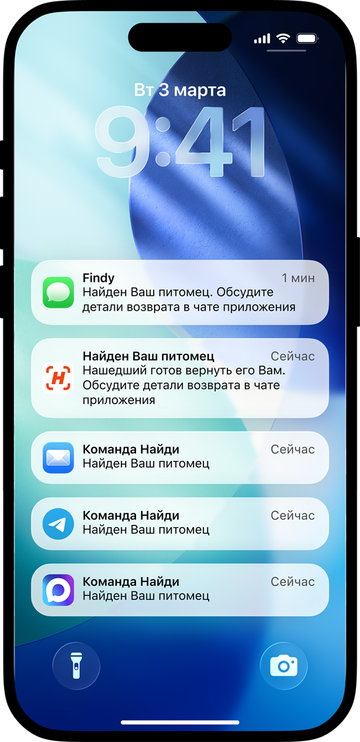 Разместите наклейки или брелки “Найди” на своих вещах или питомцах